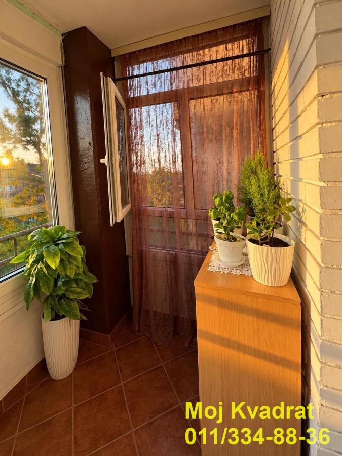 zhdw5o3tn6-16 Dvosoban stan na prodaju, Cerak, Beograd, 65m², 225.000 €