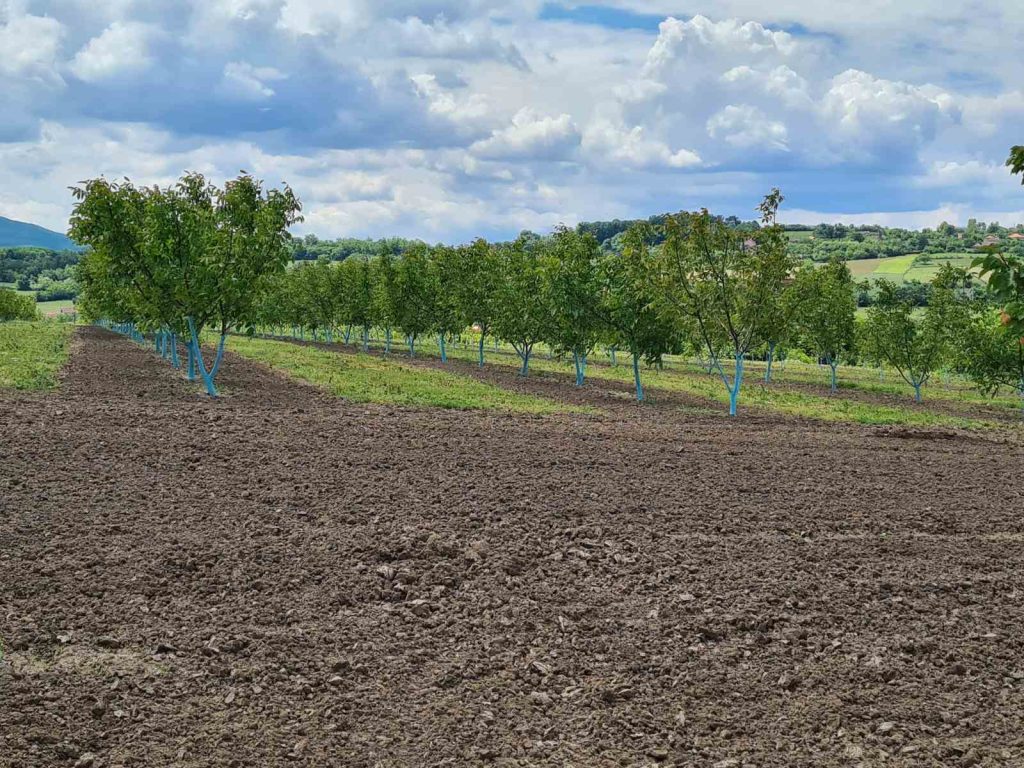 Prodaja stanova - superstan oglasi za nekretnine