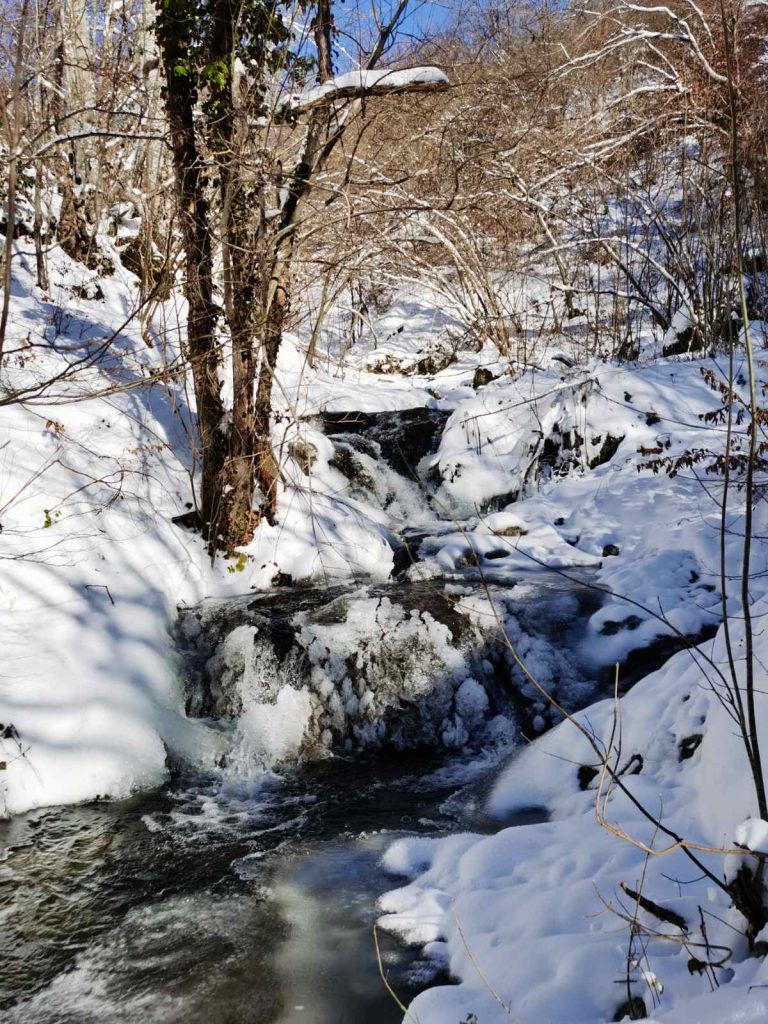Prodaja stanova - superstan oglasi za nekretnine