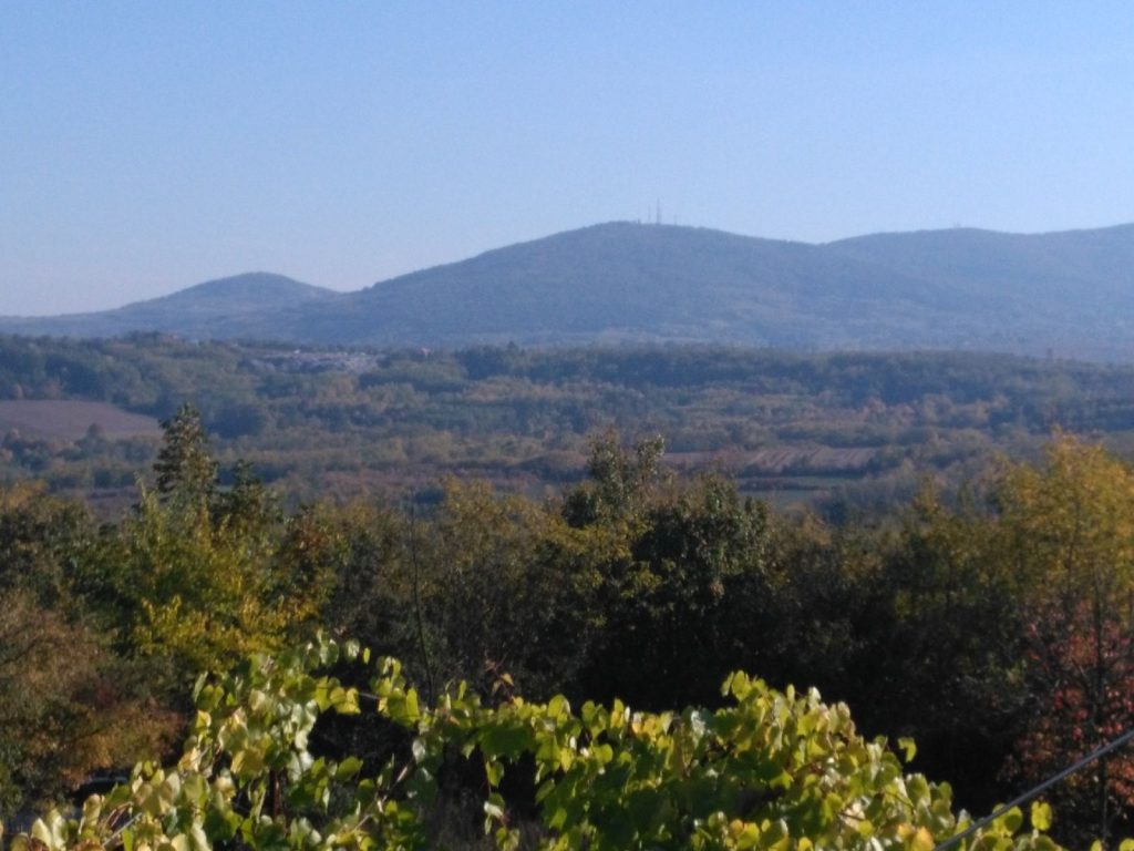 Prodaja stanova - superstan oglasi za nekretnine