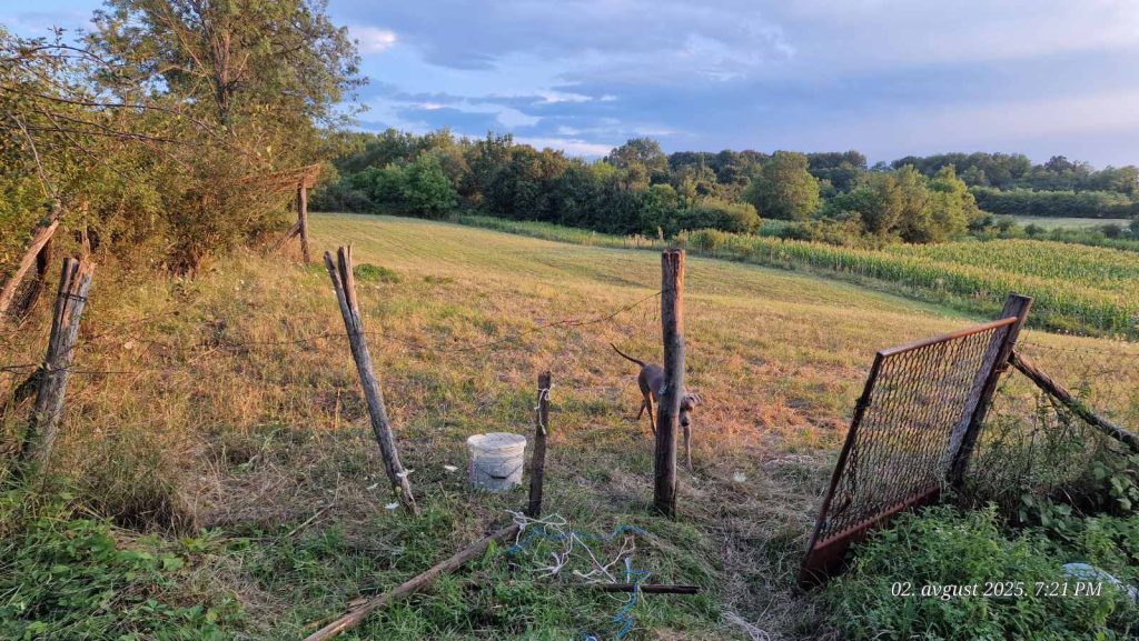 Prodaja stanova - superstan oglasi za nekretnine