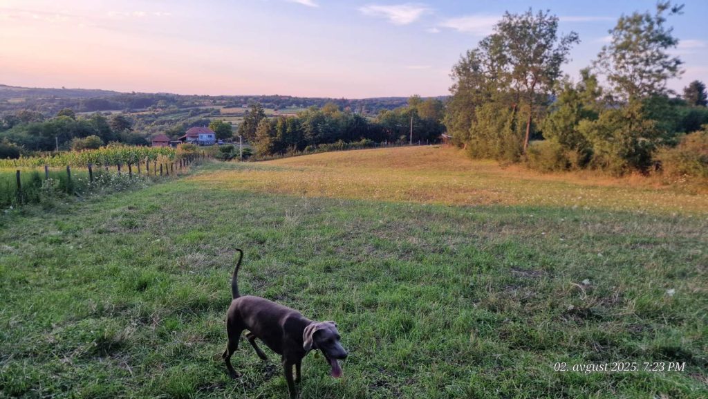 Prodaja stanova - superstan oglasi za nekretnine