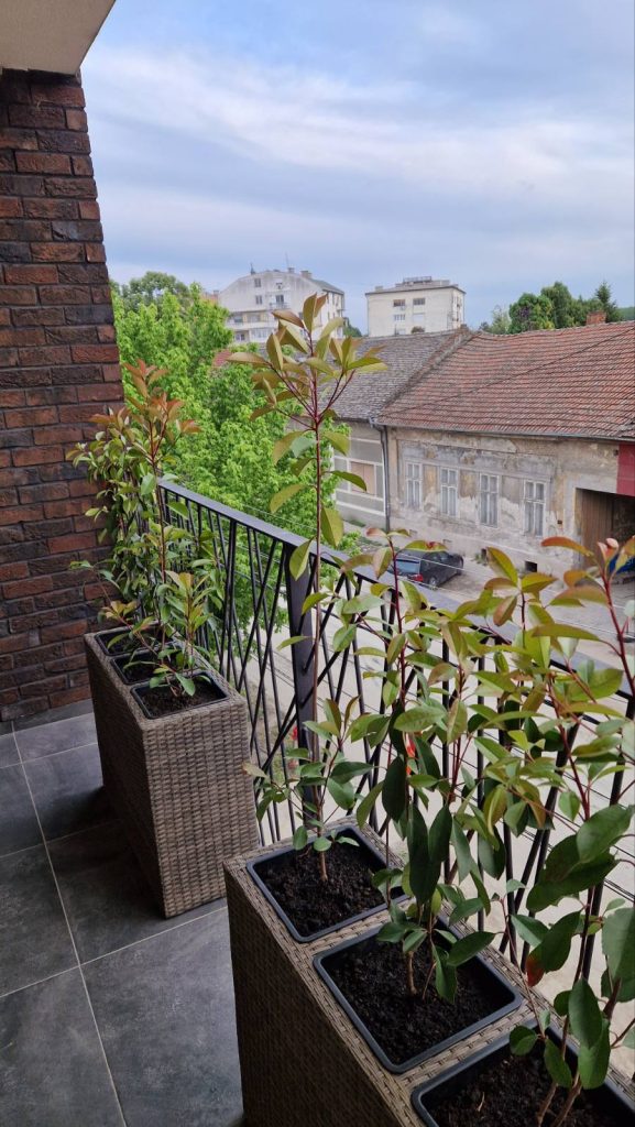 Prodaja stanova - superstan oglasi za nekretnine