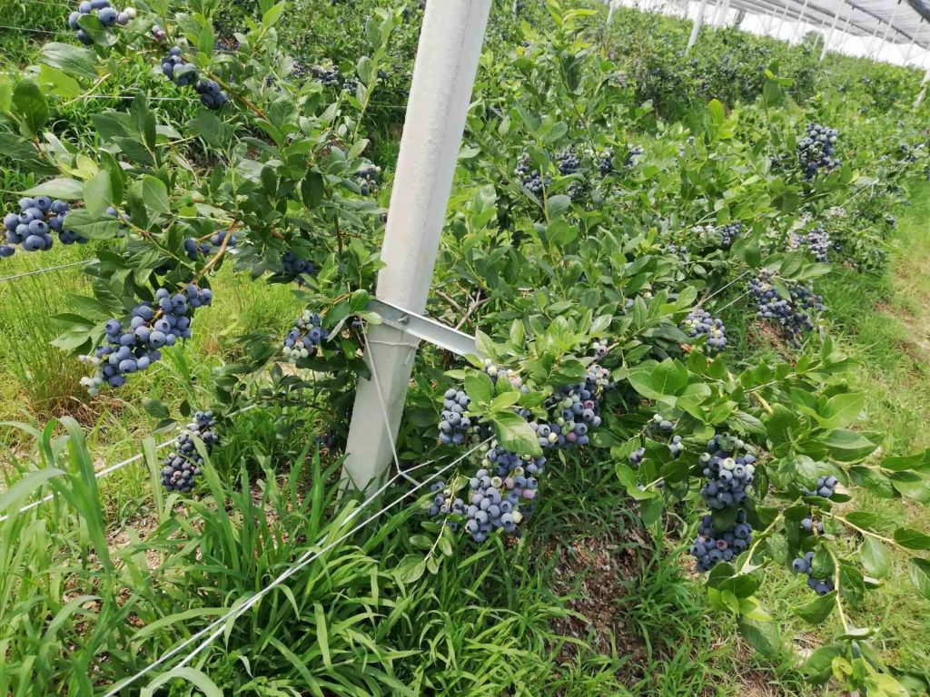 Prodaja stanova - superstan oglasi za nekretnine