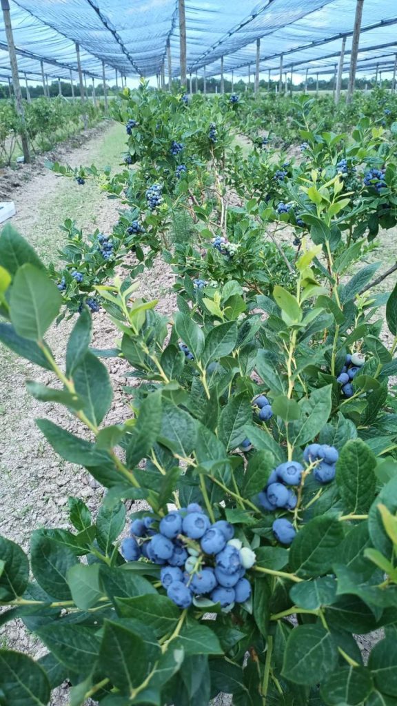 Prodaja stanova - superstan oglasi za nekretnine