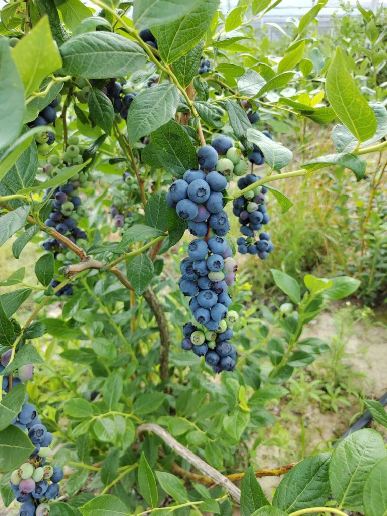 Prodaja stanova - superstan oglasi za nekretnine
