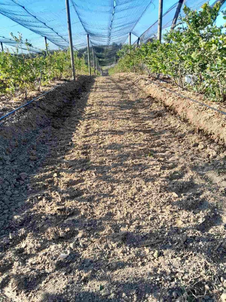 Prodaja stanova - superstan oglasi za nekretnine