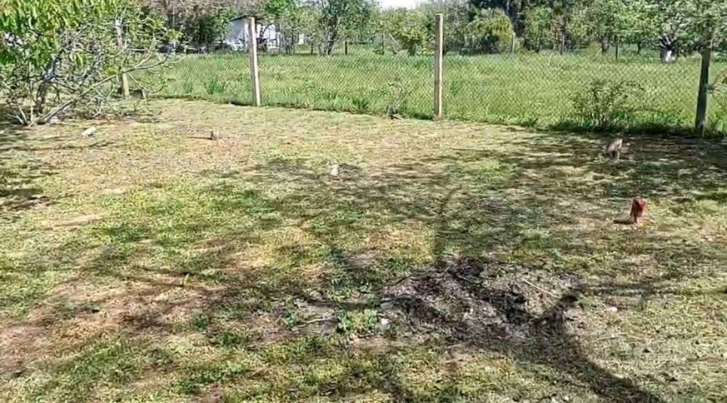 Prodaja stanova - superstan oglasi za nekretnine