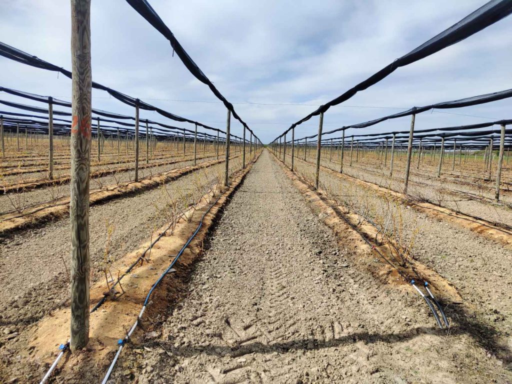 Prodaja stanova - superstan oglasi za nekretnine