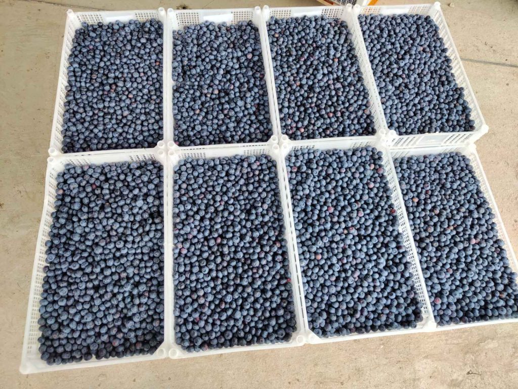 Prodaja stanova - superstan oglasi za nekretnine