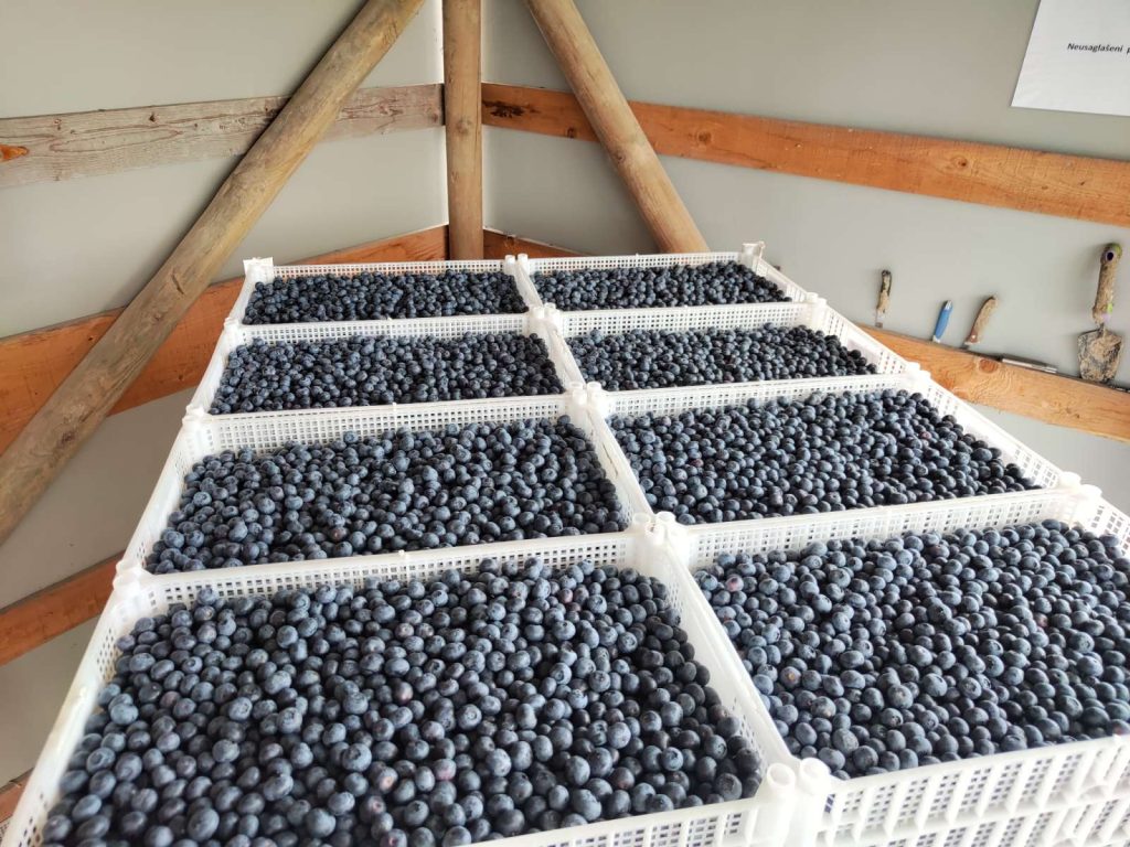 Prodaja stanova - superstan oglasi za nekretnine