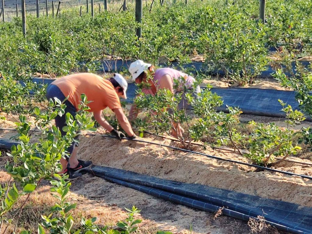 Prodaja stanova - superstan oglasi za nekretnine