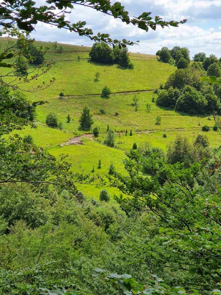 Prodaja stanova - superstan oglasi za nekretnine