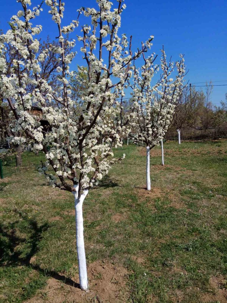 Prodaja stanova - superstan oglasi za nekretnine