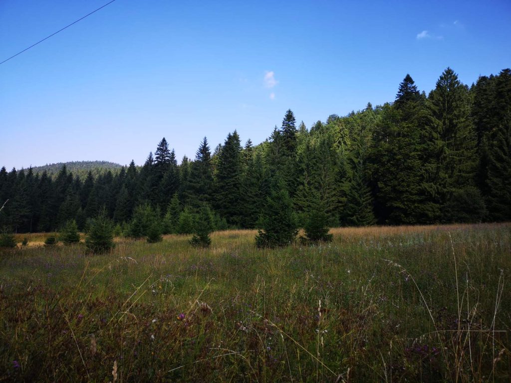 Prodaja stanova - superstan oglasi za nekretnine