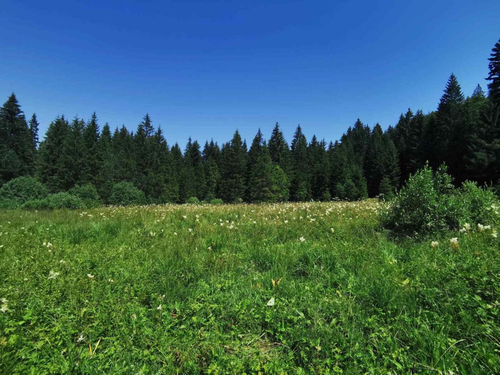 Prodaja stanova - superstan oglasi za nekretnine