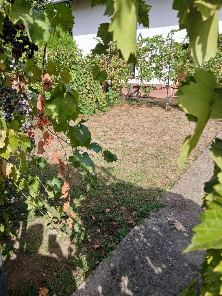 Prodaja stanova - superstan oglasi za nekretnine