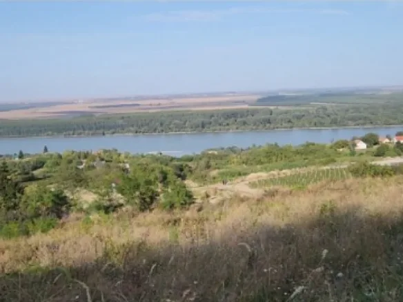 Plac Prodaja Inđija  2003 m2
