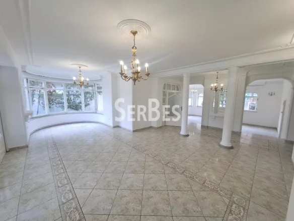 Lokal Izdavanje Novi Sad  300 m2