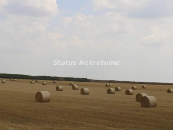 Plac Prodaja Novi Sad  0 m2