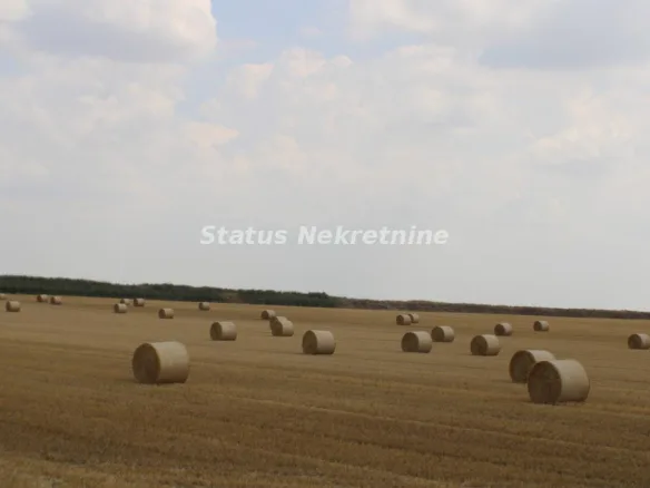 Plac Prodaja Žabalj  0 m2