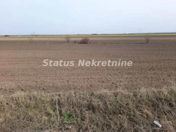 Plac Prodaja Žabalj  0 m2