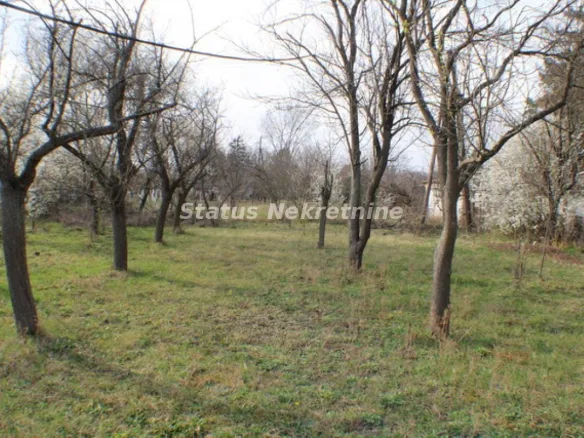 Plac Prodaja Zrenjanin  0 m2