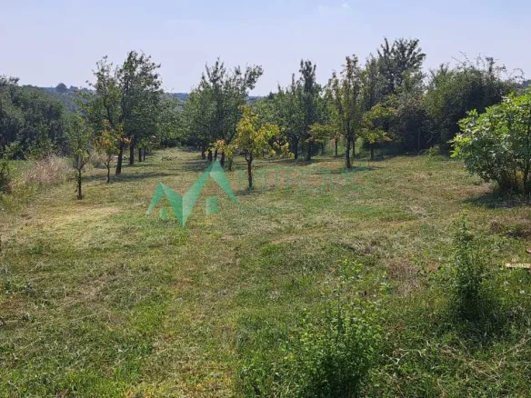 Plac Prodaja Irig  1381 m2