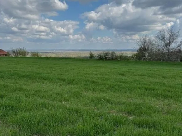 Plac Prodaja Novi Sad  1438 m2