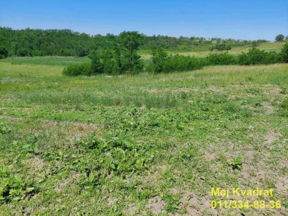 Plac na prodaju, Erdevik, Šid, 102,9 ari, 12.000 €