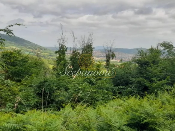 Plac Prodaja Aranđelovac  53082 m2