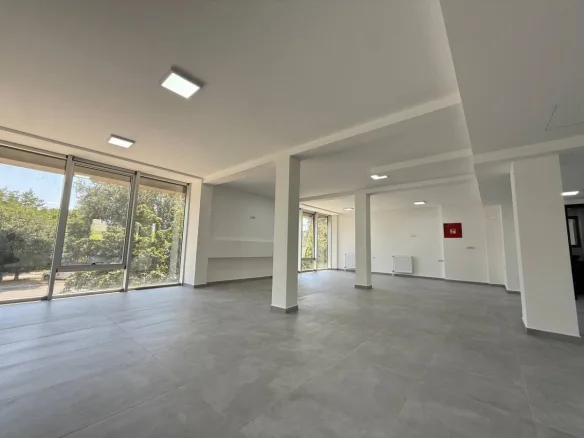 Lokal Izdavanje Novi Sad Bulevar Patrijarha Pavla 349 m2