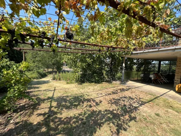 Kuća Prodaja Novi Sad  99 m2