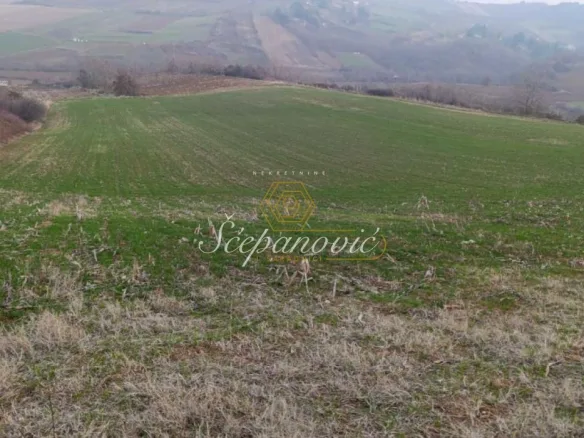 Plac Prodaja Novi Sad  10537 m2