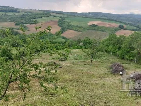 Plac Prodaja Novi Sad  4200 m2