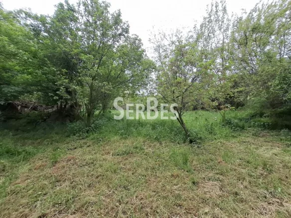Plac Prodaja Beočin  0 m2