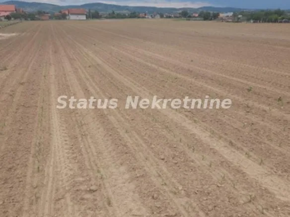 Plac Prodaja Novi Sad  0 m2