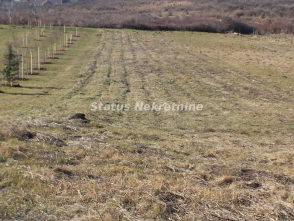 Plac Prodaja Vrdnik  0 m2