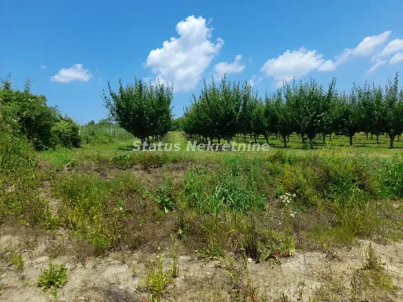Plac Prodaja Vrdnik  0 m2