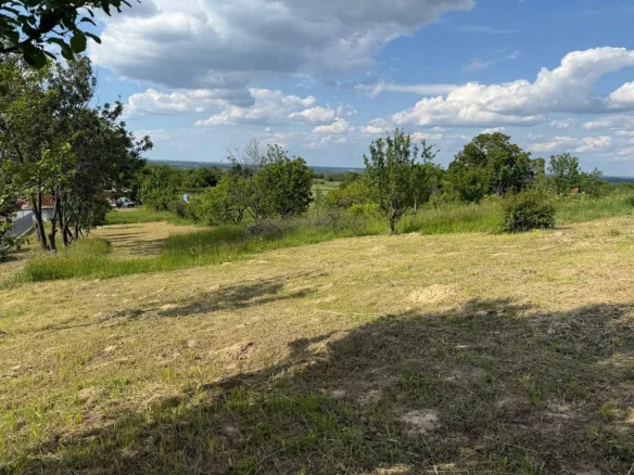 Plac Prodaja Novi Sad  954 m2
