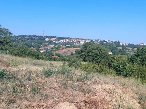 Plac Prodaja Novi Sad Alibegovac 1430 m2