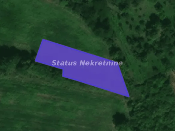 Plac Prodaja Novi Sad  0 m2