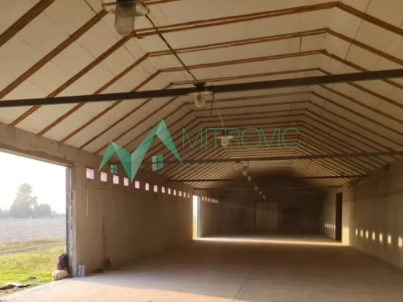 Lokal Izdavanje Novi Sad  1000 m2