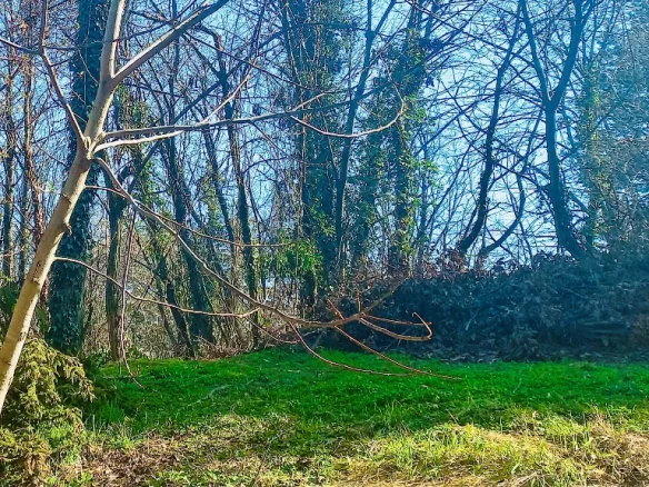 Plac Prodaja Novi Sad Popovica 2951 m2