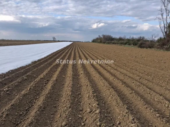 Plac Prodaja Novi Sad  12710 m2