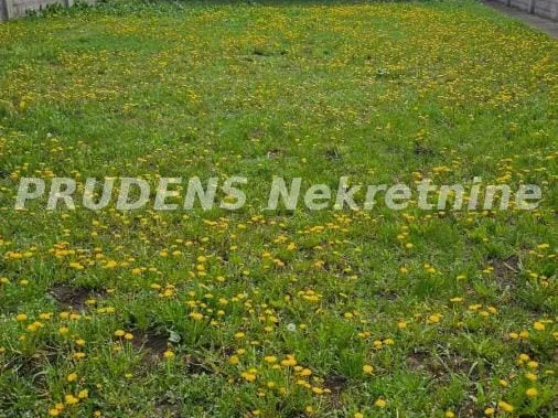 Kuća Prodaja Beograd  218 m2