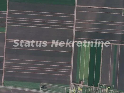 Kuća Prodaja Novi Sad  295 m2