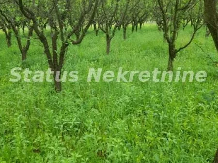 Plac Prodaja Vrdnik  0 m2