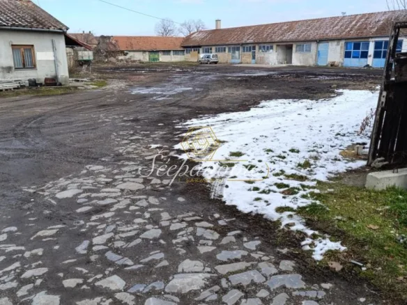 Lokal Izdavanje Sombor  296 m2