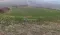 Plac Prodaja Novi Sad  10537 m2